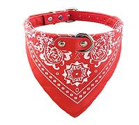 Newtensina Perro de la Moda Bandana Collar Collar de Perro Boy Pañuelo Medio Perrito Pañuelo con Cuello para Perros