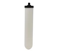 Newton Vela de filtro de agua de cerámica de montaje corto de 10 pulgadas | Compatible con Doulton 9504, 9501, W9123053, W9123006 (paquete de 1)