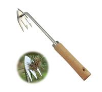 Nexoria Rascador de juntas, cortador de malas hierbas de acero inoxidable con mango, limpiador de juntas para eliminar musgo y malas hierbas, herramienta manual para jardín (C)