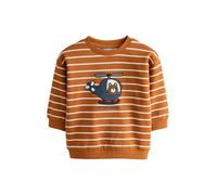 NEXT Niños Sudadera de Cuello Redondo con Estampado Integral Tan Brown Ecru Stripe Bear 6 Meses-9 Meses