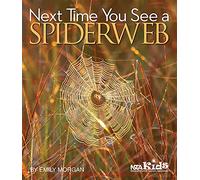 Next Time You See a Spiderweb