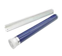 NexusDrive Equipo de Limpieza del Tambor OPC del Cilindro Compatible con P105b M105b P158b M158 P255 Phaser 3010 3040