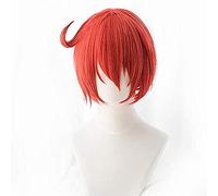 NEZIH Células En El Trabajo Pelucas Eritrocitos Glóbulos Rojos Neutrófilos Plaquetas Pelo Sintético Hataraku Saibou Cosplay Peluca + Gorro De Peluca, Accesorios De Decoración De Halloween