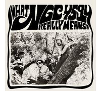 NGC-4594 What NGC-4594 Really Means (Vinyl) 12" Album with 7" Single