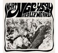 NGC-4594 - What Ngc-4594 Really Means! [VINYL] [Vinilo]