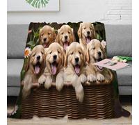 NGGADIWEG Estampado 3D Bonito Puppies Manta de Viaje Microfibra Ropa de Cama compacta Adorable Golden Retriever Manta de Viaje Suave para jóvenes en Vacaciones 80×90inch(200x230cm)
