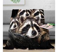 NGGADIWEG Estampado 3D Raccoon Family Manta de sofá Microfibra Ropa de Cama Anti-Bolitas Wild Animal fotografia Manta de salón Suave y cálida Transpirable para salón 40x50inch(100x130cm)
