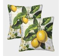 NGGADIWEG Rama de limón Funda Almohada 3D Personalizada Vintage Botanical Illustration con Diseño, Transpirable Y Lavable, Cumpleaños, Navidad Y Madres 45x45cm