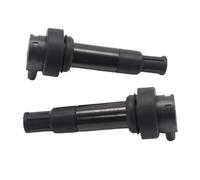 NGYBSFHxsr Bobinas de encendido 1/2/3/4/6 piezas 7722679-02 12137722679 7722679 for motocicleta, compatibles con motocicletas BMW K1600B K61 K1600 Bagger 17-23 K48 K1600GT K1600GTL 2011-2021.(2PCS)