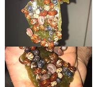 NH 5 x Alga eplate para aufwuchs fresser & Semana Forro para Gambas, caracoles y siluros (algas placas) - 4 x 7 cm