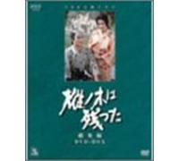 Nhk Taiga Drama Momi No Ki Wa [DVD de Audio]
