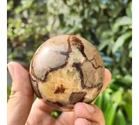 NHKSFBLQ Home Decor Septarian Dragon Crystal Ball Polished Stone Sphere Ornament Collection and Decorative Balls 1pcs,5cm/2in