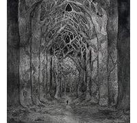 Nhor - Within The Darkness Between The Starlight [Vinilo]