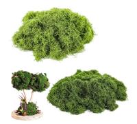 NHPY Musgo Artificial Decoracion 160g Simulación de Musgo Planta Verde Artificial Musgo Simulación Césped Artificial Musgo para decoración de Manualidades Jardines Eternos (80g Claro +80g Oscuro)