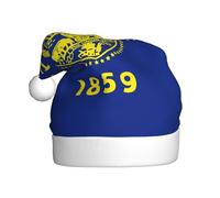 Nianyuer Sombrero de Navidad con estampado de la bandera del estado de Oregon, gorro de Papá Noel, divertido gorro de fiesta, felpa suave para vacaciones familiares