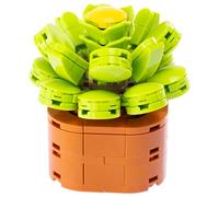Nice Mattoncini - Exotic Plants - Juego de construcción en Bloques de la Planta Aeonium Canariens - Cód. 78044