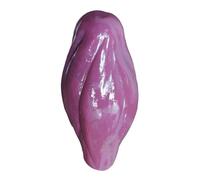 Nicear Réplica De Músculo Anatómico De 1 Lb, Modelo Realista De Anatomía Humana Para Instrucción De Fitness, Entrenamiento Médico Y Educación Sanitaria.