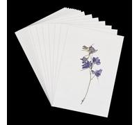 NICENEEDED 50 Hoja de Papel Secante para Prensa de Flores, Papel Secante Reutilizable Y Altamente Absorbente, Tamaño A4, para Prensar Flores, Herbario Y Manualidades.