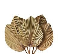 Nicfaky 5 hojas de palma secas para decoración de habitaciones, 45,7 cm de alto x 25,4 cm de . Gran decoración de hojas de palma natural para un aspecto bohemio