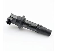 Nicfaky Bobina de bujía de Bobina de Encendido for Honda 2004-2009 CRF250R 2004-2013 CRF250X CRF 250R 250X Integral