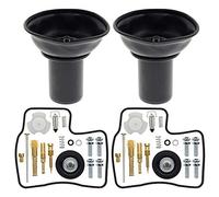 Nicfaky Kit de reparación de carburador de diafragma con aguja para Steed Shadow VLX 400