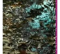 Nichika - Rivers Edge