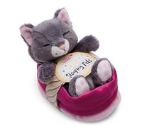 NICI peluche gato gris 12cm, durmiendo en la cesta - Peluche para abrazar y amar - Producido sosteniblemente a partir de materiales reciclados - 49746