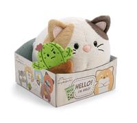 NICI 63180 - Peluche Gata Angy 13 cm con Cactus con imán con Carita expresiva en Caja de Regalo, Beige, Animal de Tacto Suave, Adorable Peluche para abrazar y Jugar, para niños y Adultos