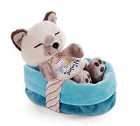 NICI Suave Gato de Juguete en Cesta 12cm - Sleeping Pets Muñeco de Gato Siamés para Niñas, Niños y Bebés - Animales Esponjosos para Abrazar, Jugar y Dormir - Acogedor Animal de Peluche
