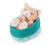NICI Suave Juguete de Gato en Cesta Azul-Verde 16 cm - Peluches Sleeping Kitties para niñas, niños y bebés - Animales para Jugar, abrazar y Dormir
