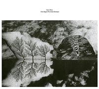 Nick Mott - Here Begins the Great Destroyer