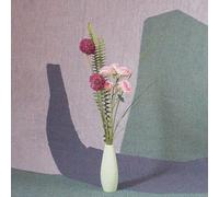 Nick Schofield - Ambient Ensemble (PARLOR GREEN VINYL) [Vinilo]