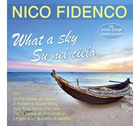 Nico Fidenco - What a Sky-Su Nel Cielo-die Grossen Erfolge-