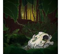 Nico Rivers;the Black Grass - Tiny Death