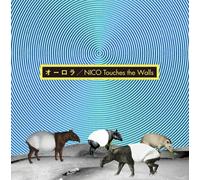 NICO TOUCHES THE WALLS - Aurora [CD+Dvd Ltd.ed.]