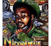 Nicodemus - She Love It in the Morning [Vinilo]
