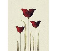 Nicola Evans Lienzo Impreso Tulips III Digital, Algodón, Multicolor, 1.80 x 40.00 x 50.00 cm