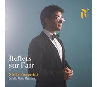 Nicola Procaccini - Reflets sur L’air