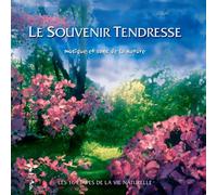 Nicolas Jeandot - Le Souvenir Tendresse