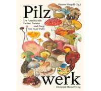 Nicolas Küffer Ishita Pilzwerk: Die fantastischen Farben, Form (Tapa dura)