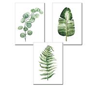 Nicole Knupfer 3 piezas de arte vintage póster impresión botánica plantas verdes hojas pop ilustración decoración de pared (A,40 x 50 cm)