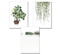 Nicole Knupfer 3pcs Art Vintage Poster Print Botánico Verde Plantas Hojas Pop Ilustración Decoración de Pared (C,30x40cm)
