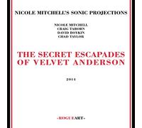 Nicole Mitchell's Sonic Projection - The secret Escapades of Velvet Anderson