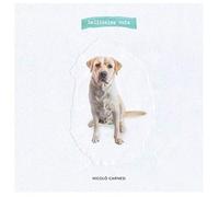 Nicolo Carnesi - Bellissima Noia