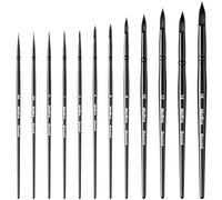 Nicpro 12 Piezas Pinceles Acuarela con Punta Redonda y Puntiaguda, Profesionales, Suaves y sintéticos de Ardilla, Ideales para Acuarela, tintas, Gouache, acrílico y óleo