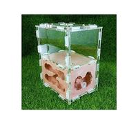 Nido de Hormigas, Kit de Aprendizaje científico Hábitat del Castillo de la Granja de Hormigas (Yeso, Acrílico, Multicolor, 10,7 x 7,6 x 12,5 cm)(Red)