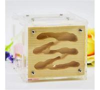 Nido de observación estereoscópica acrílico Granja de hormigas de madera acrílica, hábitat de bricolaje, casa de hormigas con área de alimentación, nido de hormigas, granja ecológica, castillo de horm