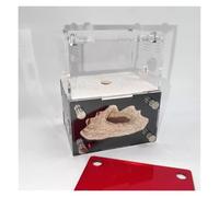 Nido Hormigas Casa Insectos Pet Granja De Hormigas Hormigón, Torre Agua Hidratante, Nido, Castillo Acrílico para Educación Científica Kit Hormiguero(White)