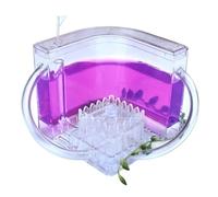 Nido Hormigas Casa Insectos Pet Kit De Observación Castillo Hormigas, Granja, Gel Translúcido, Cría, Nidos, Ciencia del Hábitat Kit Hormiguero(Purple)