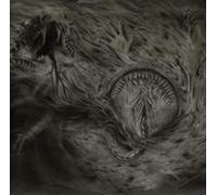 Nidsang - Into The Womb Of Dissolving Flames